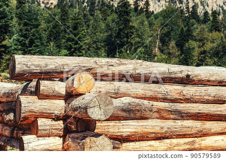 Wooden house made of logs at the initial stage of construction. Forest in the background. Construction and structures 90579589