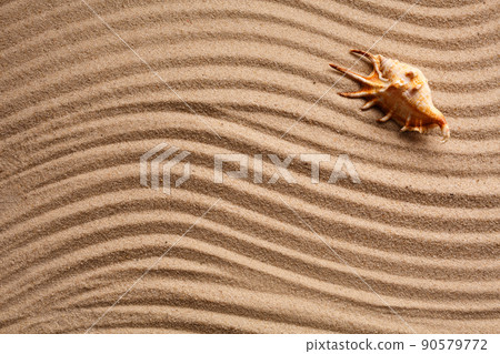 Sea beach sand background with seashells. Natural seashore textured surface. Waves texture. Place for text. Sea beach sand background with seashells. Natural seashore textured surface. Waves texture. Place for text. 90579772