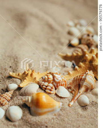 Sea shell and starfish on send close up. Macro photo. 90579776