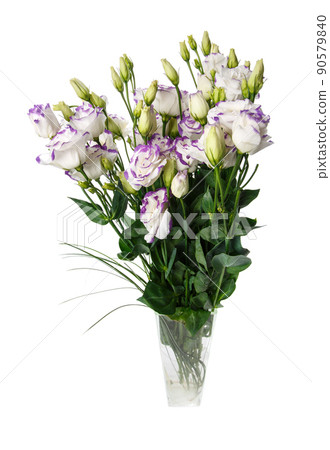 Bunch of violet eustoma flowers in glass vase isolated on white. Bunch of violet eustoma flowers in glass vase isolated on white. 90579840