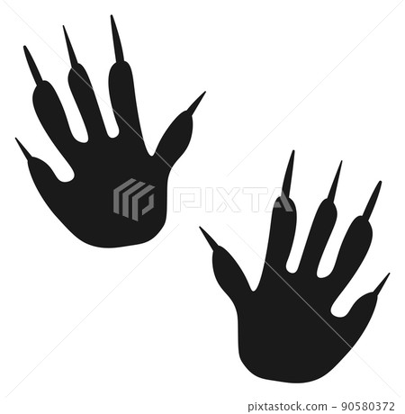 Stoat paws black marks. Forest animal track 90580372