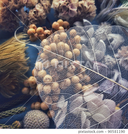 Dried flower  90581190