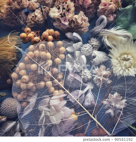 Dried flower  90581192