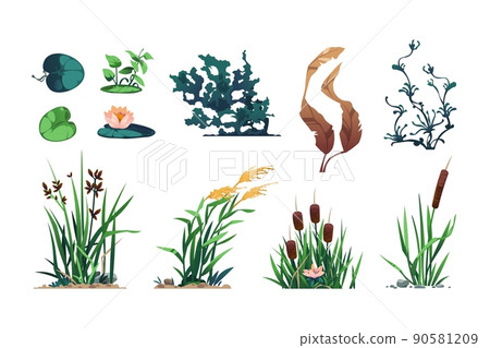 Lake plants. Pond flora and swamp botany game asset with reed, cattails, and bulrush, wetland water leafy plants. Vector isolated set 90581209