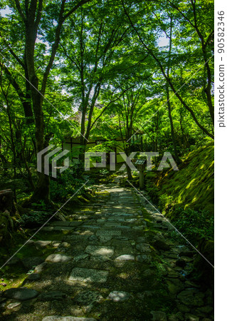 新鮮的綠色寺廟 90582346
