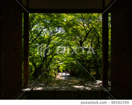 Fresh green peeking from the gate of Jojakkoji Temple 90582349
