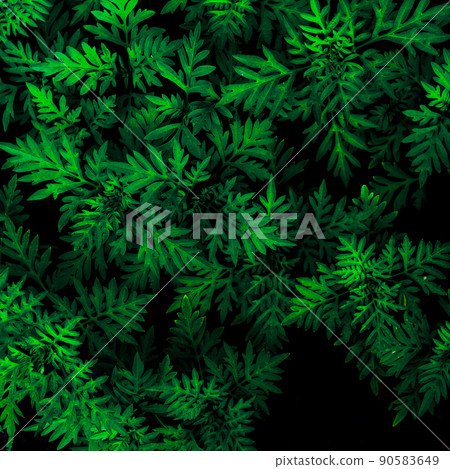abstract green leaves texture, nature background 90583649