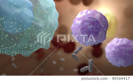 Cells immune that fight the virus Cells immune that fight the virus 90584417