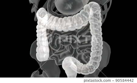 Colonoscopy Biopsy Of The Gastrointestinal Tract In Patients 90584442