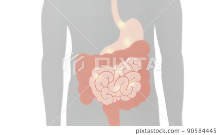 Journey to the oral digestive system 90584445