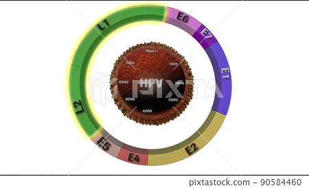 Human papillomavirus, a virus which causes warts, some strains infect genitals and cervical cancer Human papillomavirus, a virus which causes warts, some strains infect genitals and cervical cancer 90584460