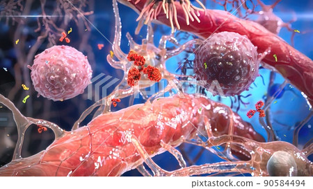 T helper cells interact on the surface of immune cells 90584494