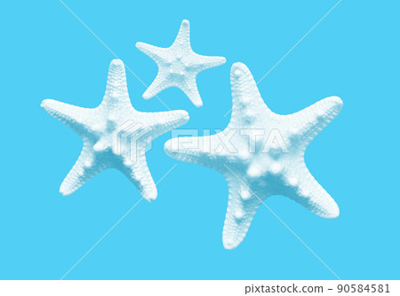 Beautiful white starfish, image material of the sea / summer Beautiful white starfish, image material of the sea / summer 90584581