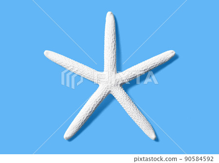 Beautiful white starfish, image material of the sea / summer Beautiful white starfish, image material of the sea / summer 90584592