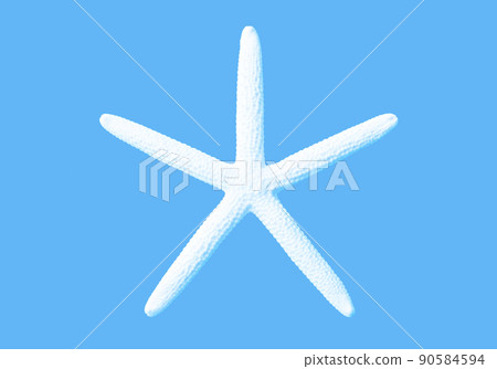 Beautiful white starfish, image material of the sea / summer Beautiful white starfish, image material of the sea / summer 90584594