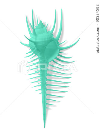 Beautiful white shells, sea / summer image material Beautiful white shells, sea / summer image material 90584598