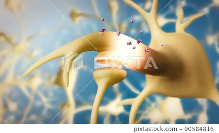 knee pain signals reach the brain 90584816