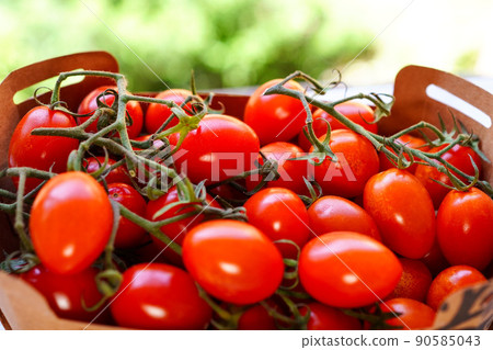 Mini tomatoes in a paper box 90585043