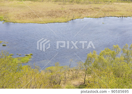 北海道釧路濕原風景 北海道釧路濕原風景 90585695