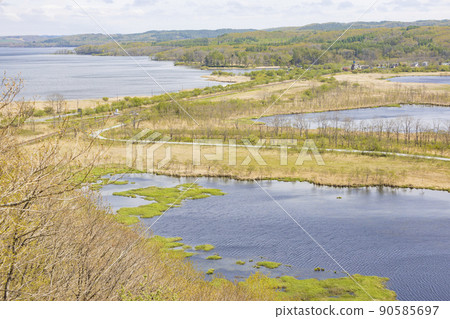 北海道釧路濕原風景 90585697