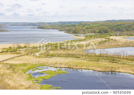 北海道釧路濕原風景 90585699