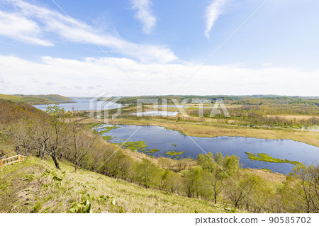 北海道釧路濕原風景 90585702