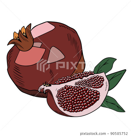 Vector pomegranates, whole and sliced with leaves, doodle style on white background 90585752