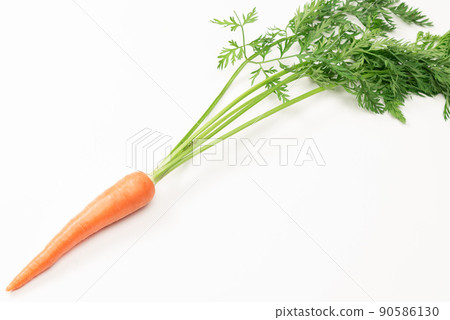 Carrot with leaves Carrot with leaves 90586130