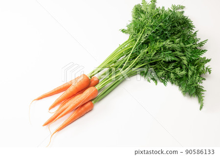 帶葉子的胡蘿蔔 90586133