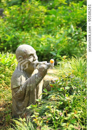 喬基寺的繡球 喬基寺的繡球 90586261