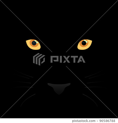 Panther eyes, mustache and nose Panther eyes, mustache and nose 90586788