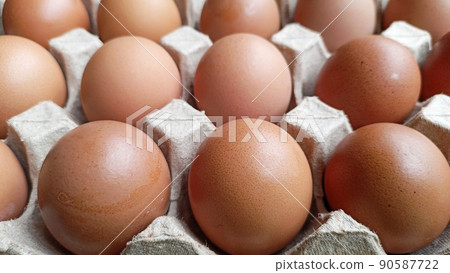 closeup fresh eggs paper tray closeup fresh eggs paper tray 90587722