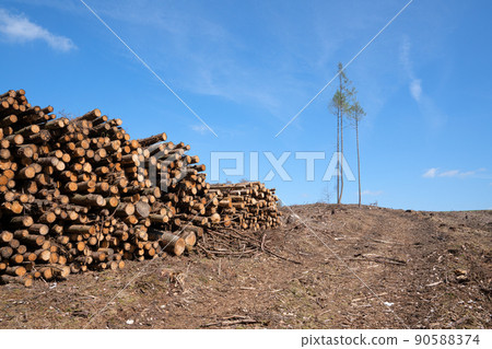 Forest dieback, cleared forest in Germany Forest dieback, cleared forest in Germany 90588374