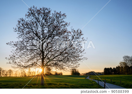 Bergisches Land, Odenthal, Germany 90588399