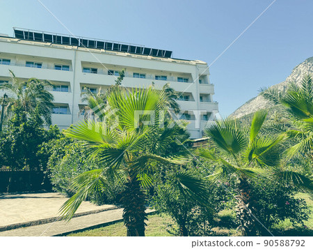 tropical, green plants in a hot country. palm trees with long, green leaves. trees near the tall, white building of the hotel. travel to a hot country tropical, green plants in a hot country. palm trees with long, green leaves. trees near the tall, white building of the hotel. travel to a hot country 90588792