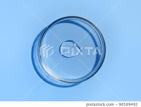 Laboratory glass petri dish for water, serum, oil, beauty product presentation. Natural medicine, cosmetic research, bio science. Concept of skincare and analysis. Dermatology. Flat lay, top view 90589492