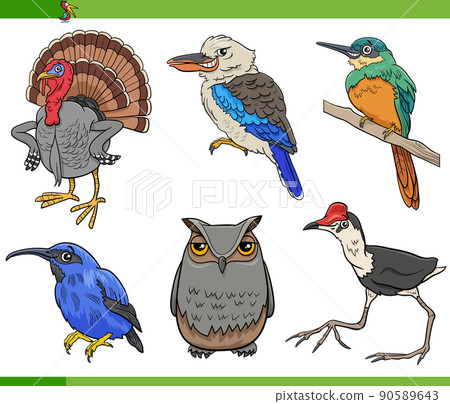 cartoon birds species animal characters set cartoon birds species animal characters set 90589643