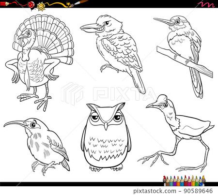 cartoon birds animal characters set coloring book page cartoon birds animal characters set coloring book page 90589646