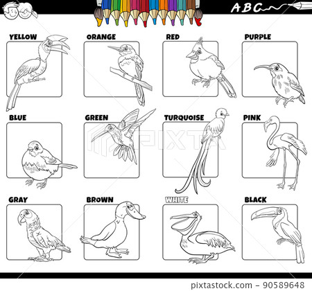 basic colors with birds animal characters set coloring page 90589648