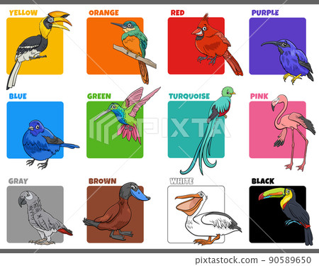 basic colors set with cartoon birds animal characters 90589650