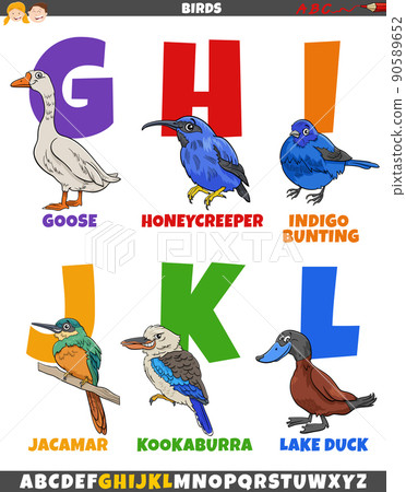 educational alphabet set with cartoon birds animal characters educational alphabet set with cartoon birds animal characters 90589652