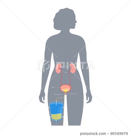Urinary drainage bag 90589979