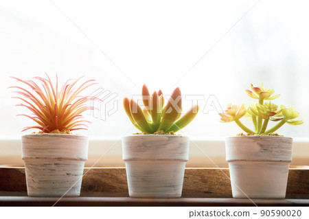 Tiny succulent plant in pot on wooden table 90590020