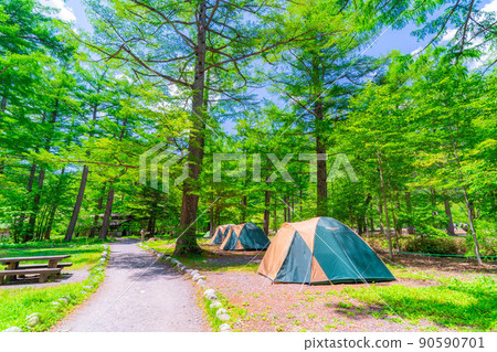 [露營材料]新鮮的綠色露營地[長野縣] 90590701