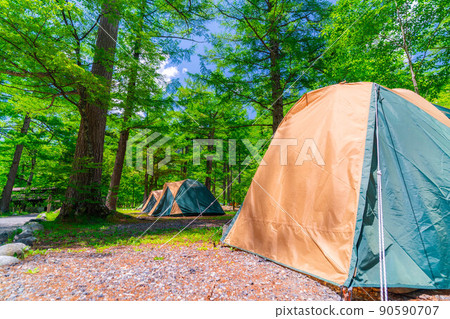 [Camping material] Fresh green campsite [Nagano Prefecture] 90590707