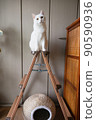 Our cat tower is a stepladder. 90590936