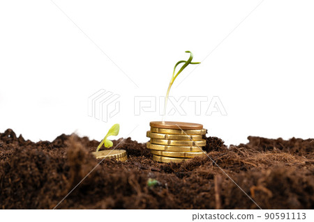 Euro coins and plant sprouts, financial growth concept 90591113