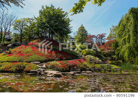 Idyllic view on rhododenron blossoms on small hill and pond in Albert Kahn Idyllic view on rhododenron blossoms on small hill and pond in Albert Kahn 90591196