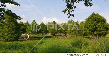 Uiwang-si Uiwang Rail Bike Dulle-gil Para sky and surrounding scenery Uiwang-si Uiwang Rail Bike Dulle-gil Para sky and surrounding scenery 90591561