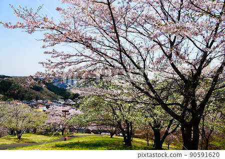 Hanno Alps Spring Okanoue Park Hanno Alps Spring Okanoue Park 90591620